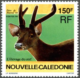 Elevage de cerfs