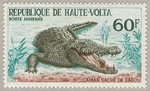 crocodile